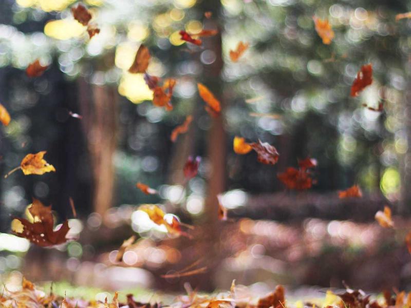 Diagnostics & Repair